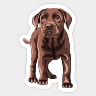 Dog Owner Sticker